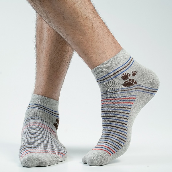 Ash Color Casual Ankle Socks [catstep-men-A-01as]