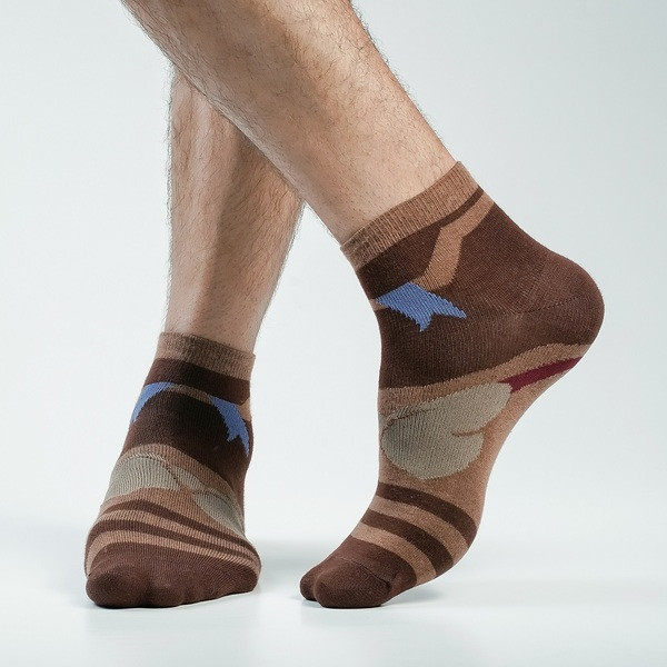 Chocolate Color Casual Cotton Socks [bstar-men-A-20ch]